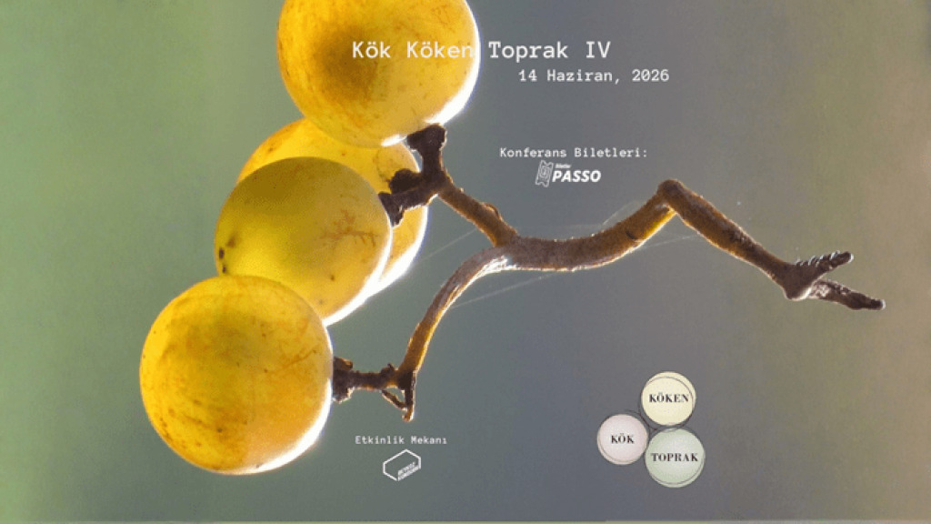 Kök Köken Toprak VI