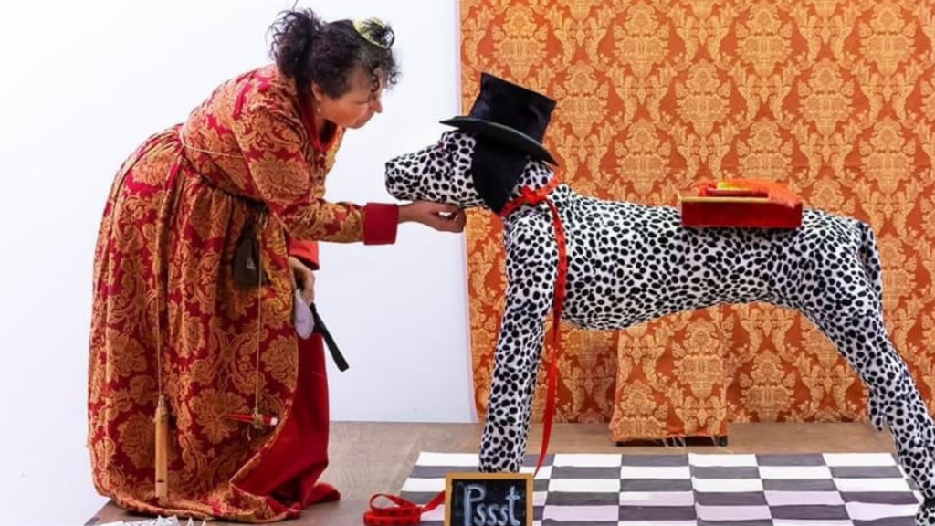 Köpek Biti Sirki  28. Uluslararası