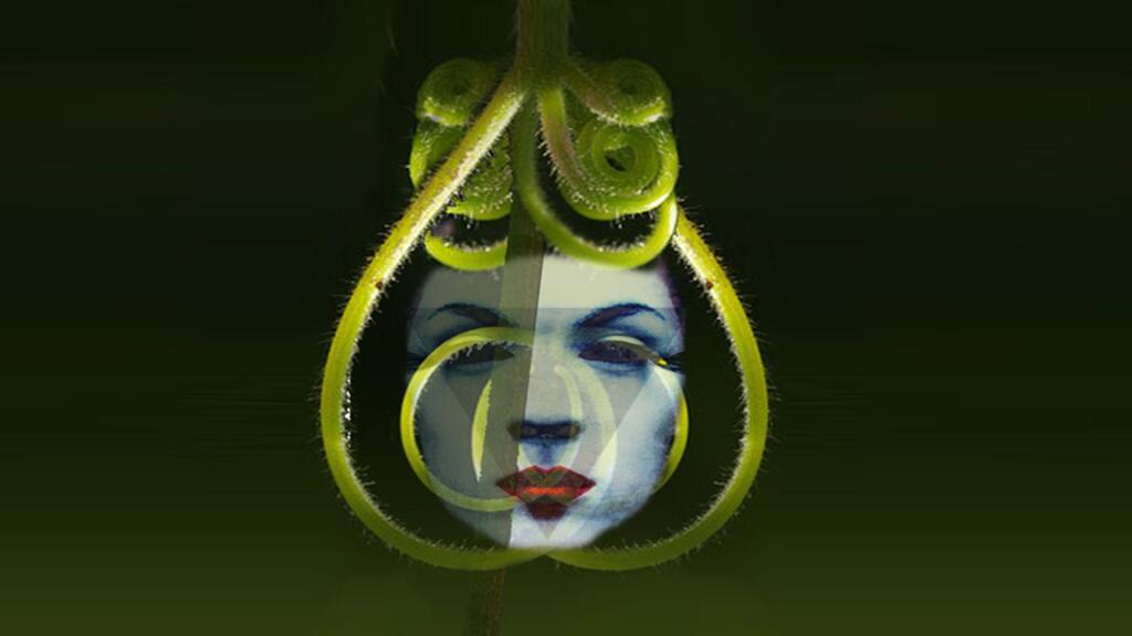 Kozmoz Opera Halkası Kış