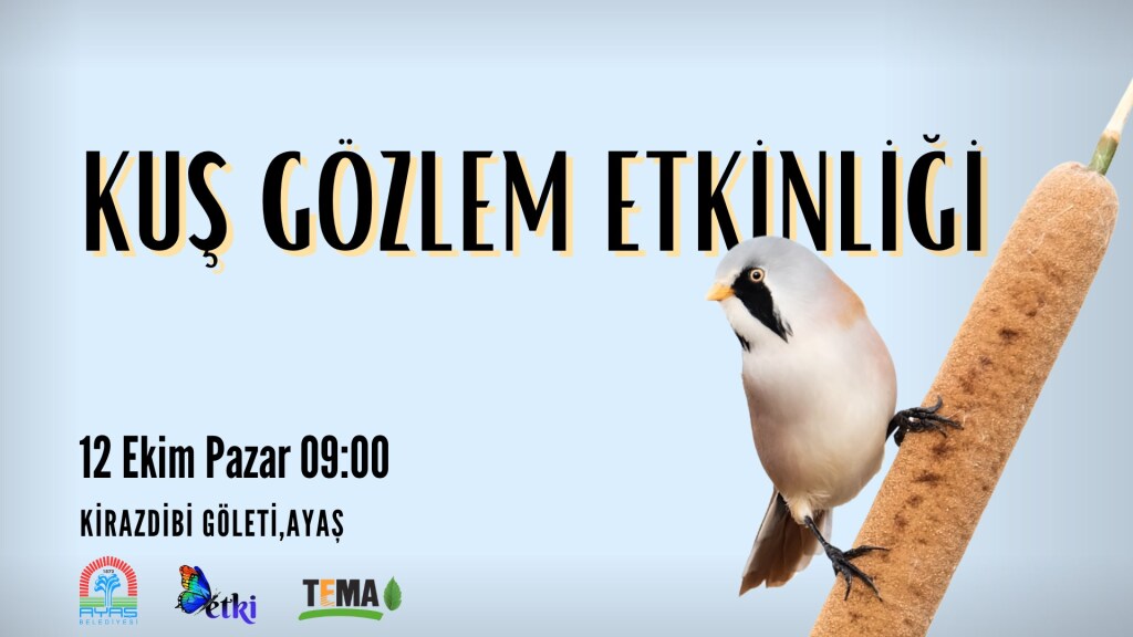 Kuş Gözlem Etkinliği-Ayaş,Ankara