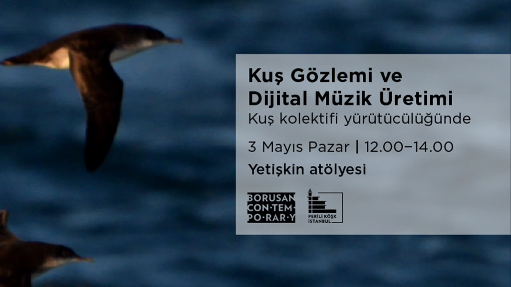 Kuş Gözlemi ve Dijital Müzik Üretim