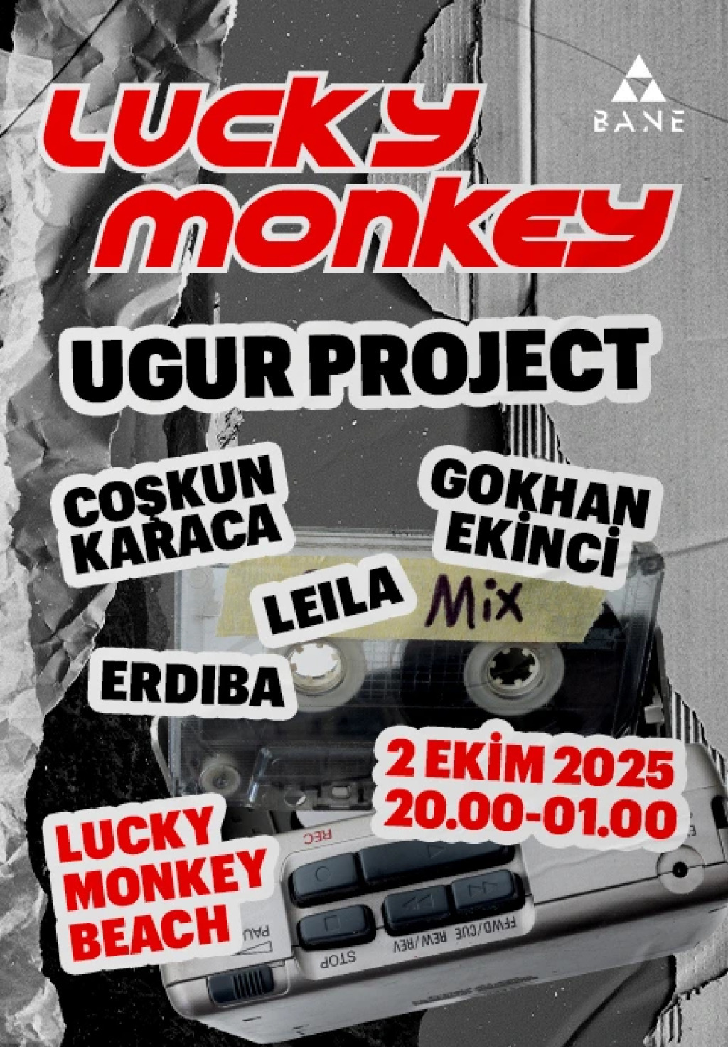 Lucky Monkey