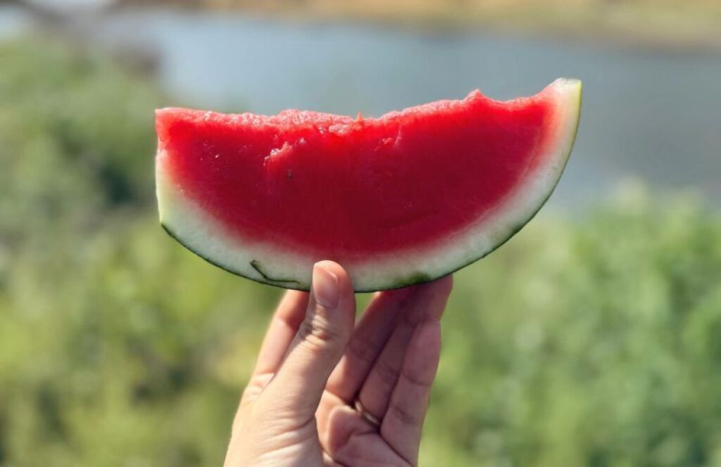 Marmaraereğlisi Karpuz