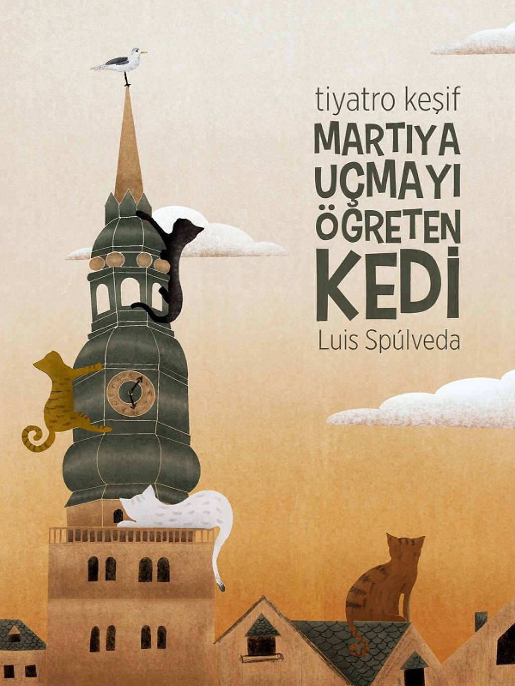 Martıya Uçmayı Öğreten Kedi