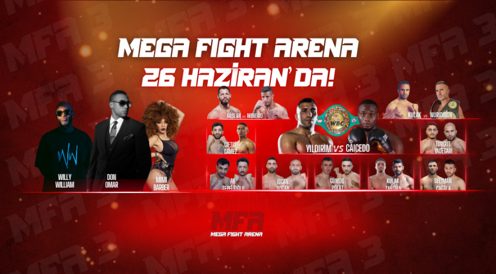 Mega Fight Arena 3