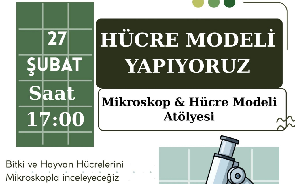 Mikroskop ve Hücre modeli Atölyesi