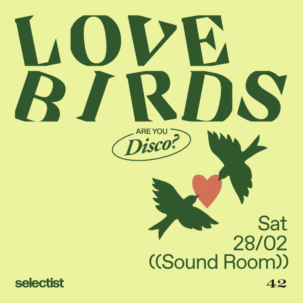Mini Are You Disco? with Lovebirds