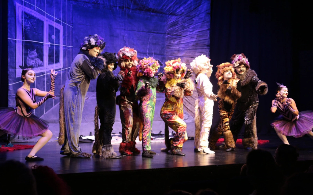 Miyav Operası "İlk Operam"