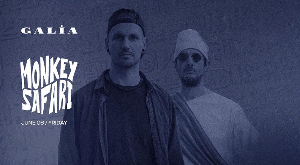 Monkey Safari + Curly Kingpin