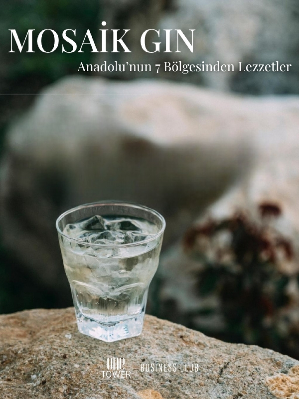 Mosaik Gin Tadımı - Anadolu'nun 7 Bölgesinden Lezzetler