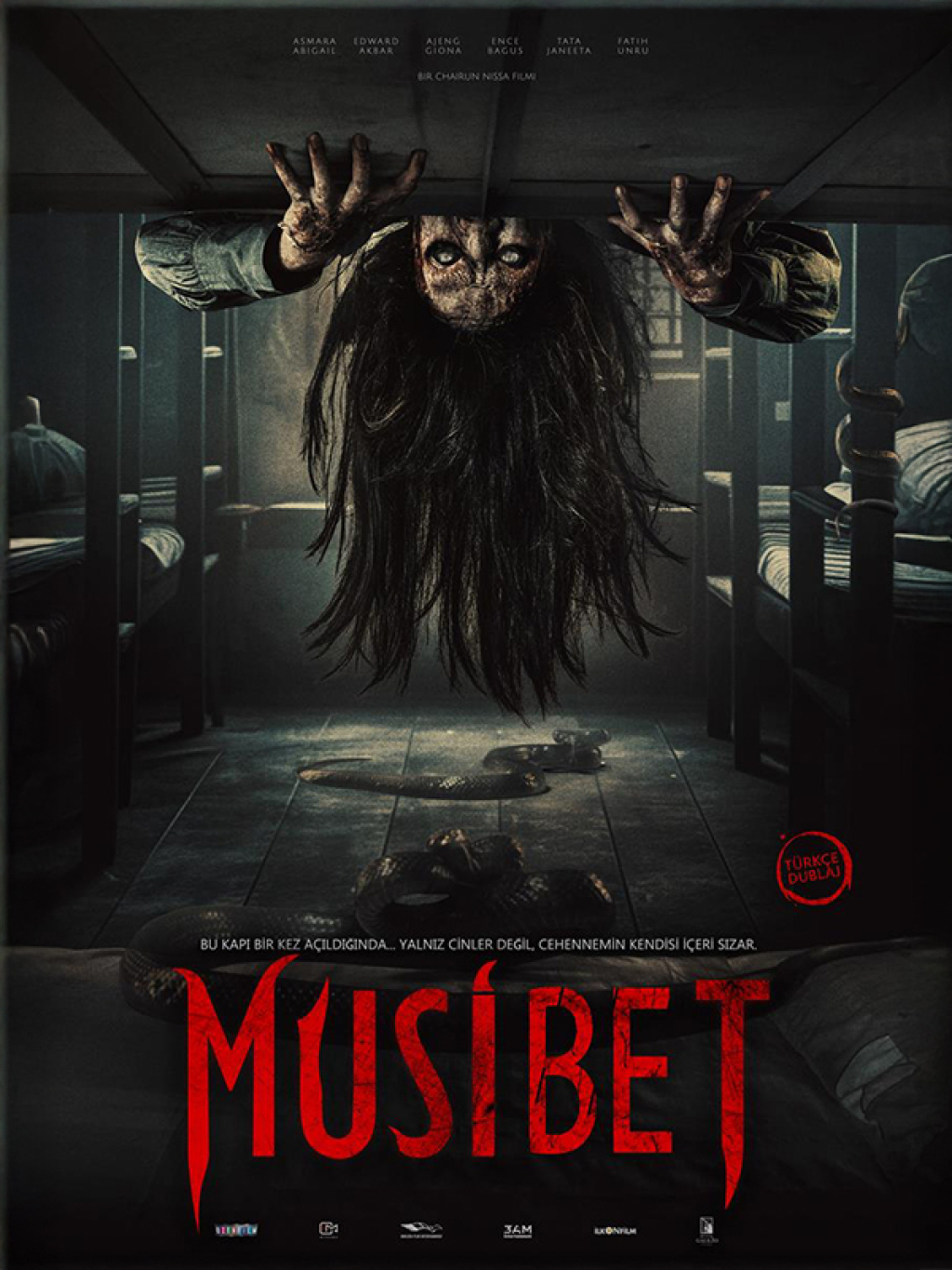 Musibet