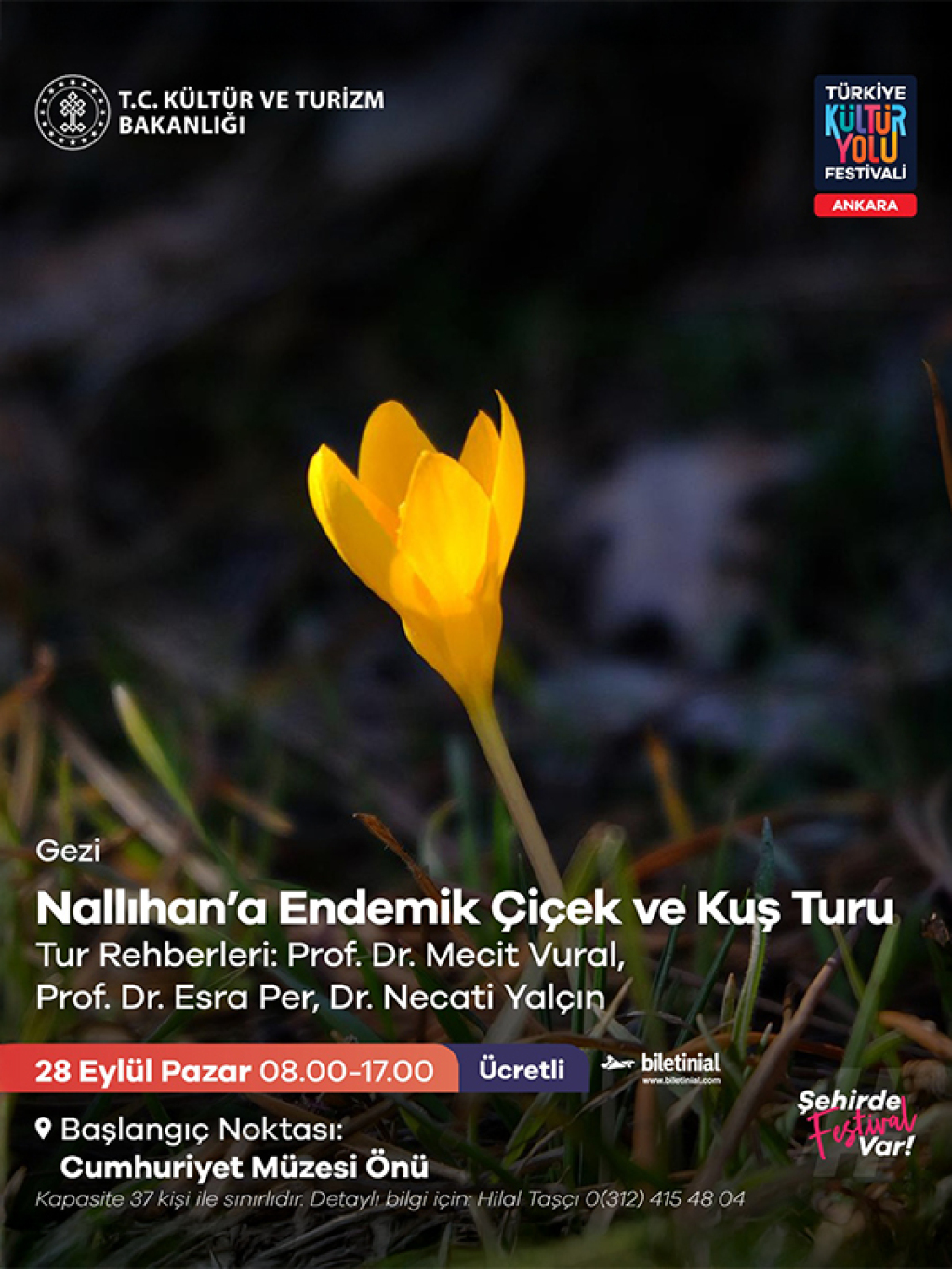 Nallıhan'a Endemik Çiçek ve Kuş Turu - Ankara Kültür Yolu
