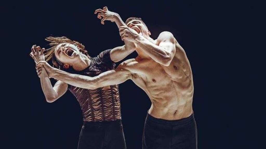 Nederlands Dans Theater (NDT 2)