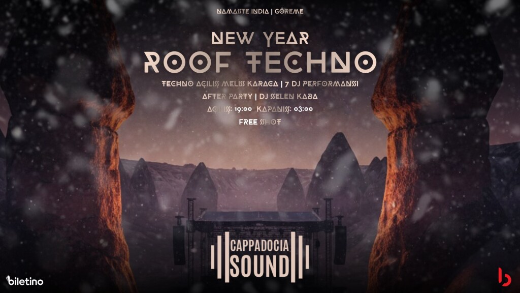 NEW YEAR ROOF TECHNO