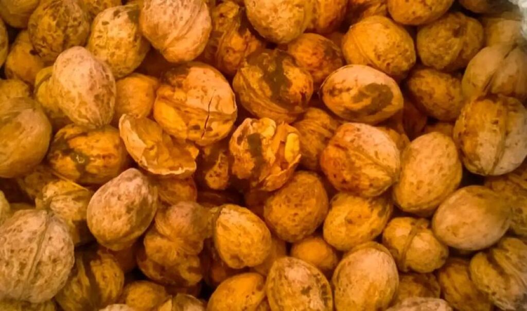 Niksar Altın Ceviz Yöresel Ürünler ve Kültür