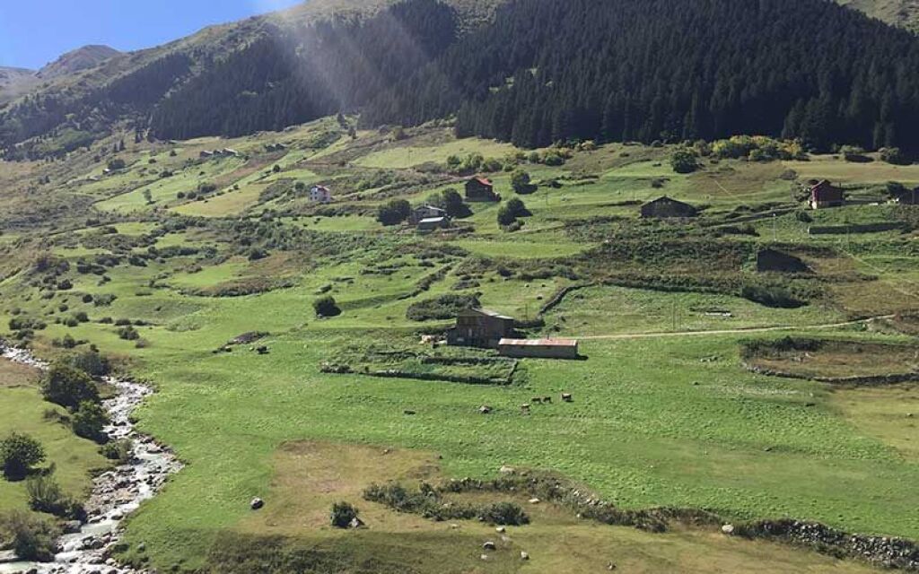 Ovit Yayla