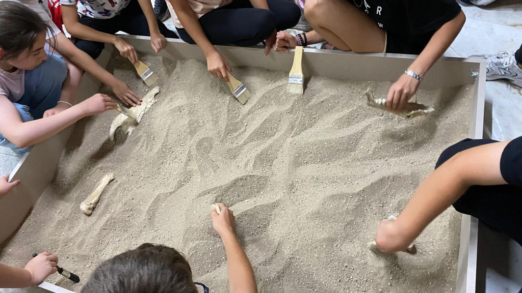 Paleontoloji Eğitim Etkinliği