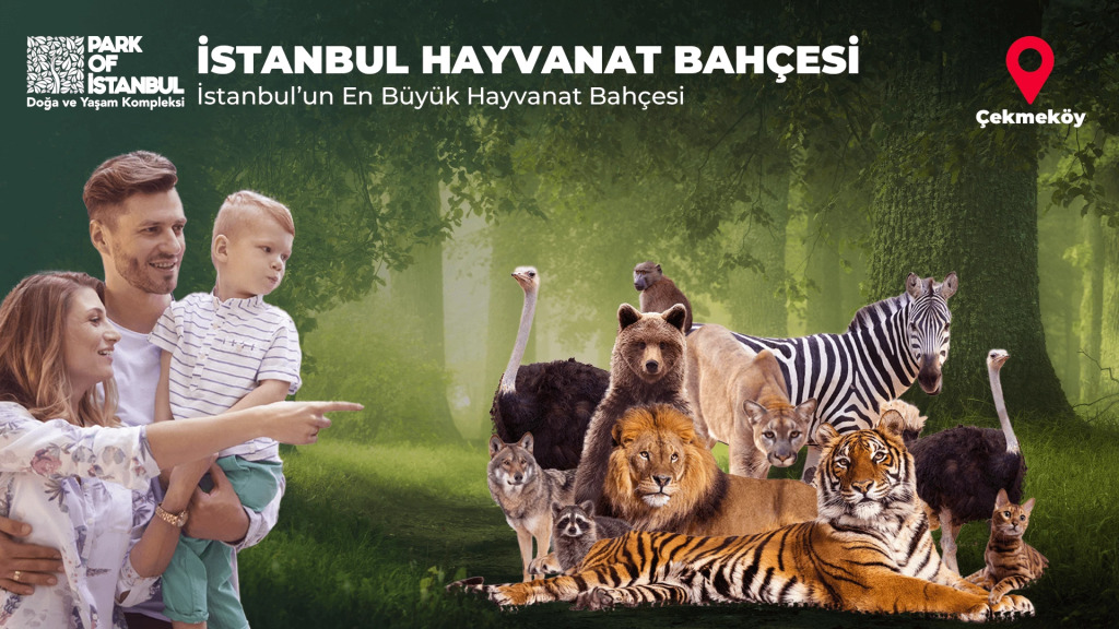 Park Of İstanbul