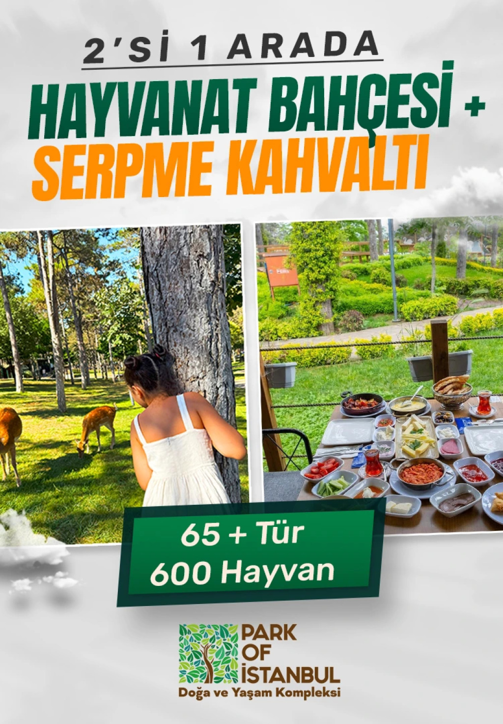 Park Of İstanbul - Hayvanat Bahçesi ve Serpme Kahvaltı