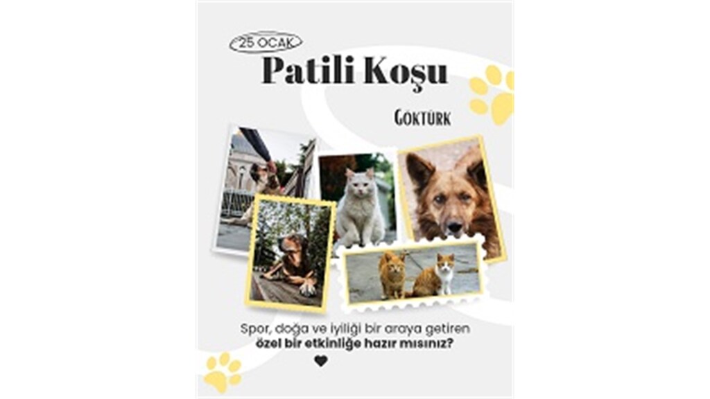 Patili Koşu (Göktürk)