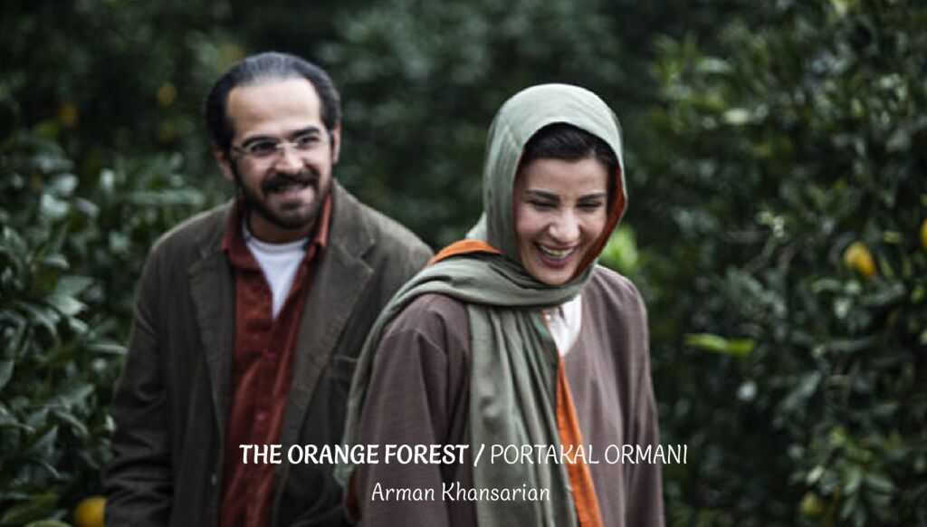 Portakal Ormanı