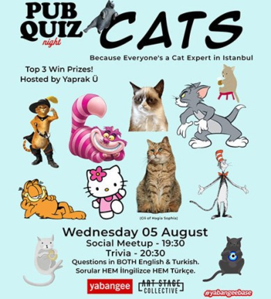 Pub Quiz on Cats: Questions in English & Turkish