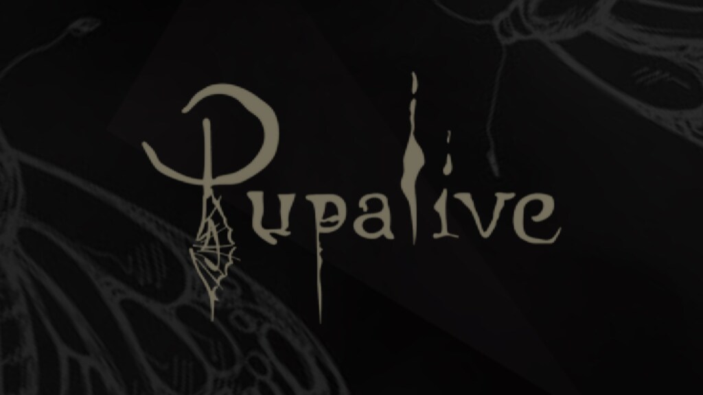 Pupalive İstanbul