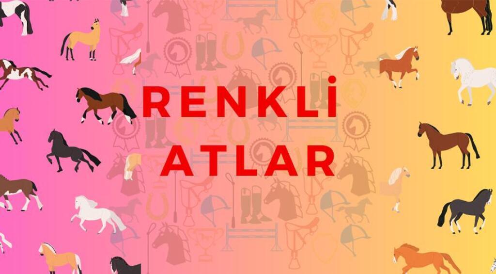 Renkli Atlar 5 - 7 Yaş