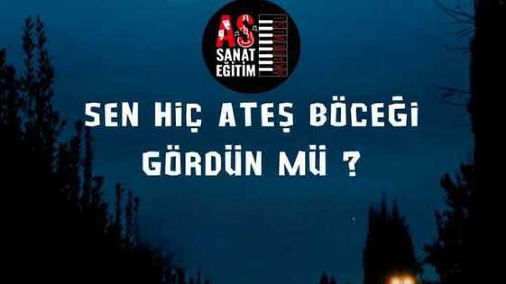 Sen Hiç Ateş Böceği Gördün Mü?