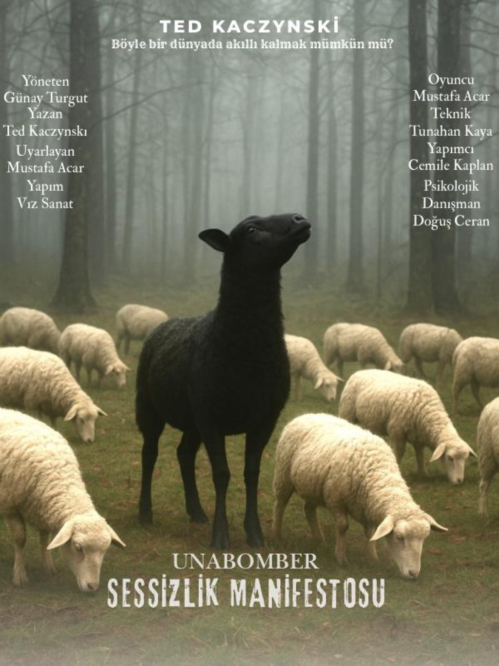 Sessizlik Manifestosu