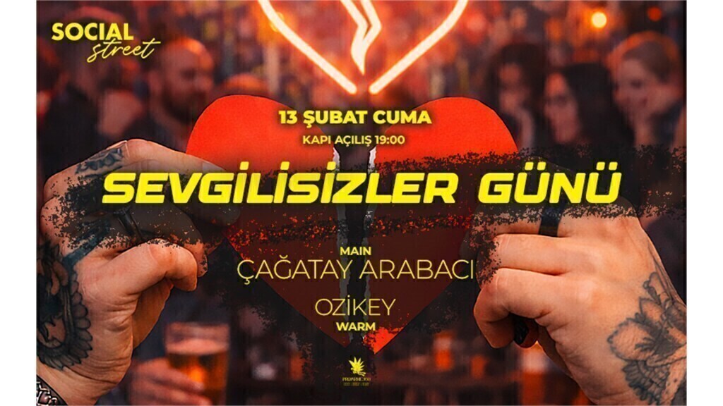 SEVGİLİSİZLER PARTİSİ