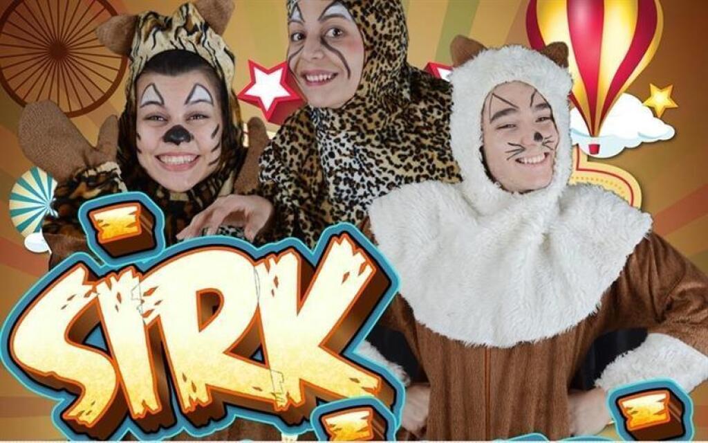 Sirk Kedileri Çocuk