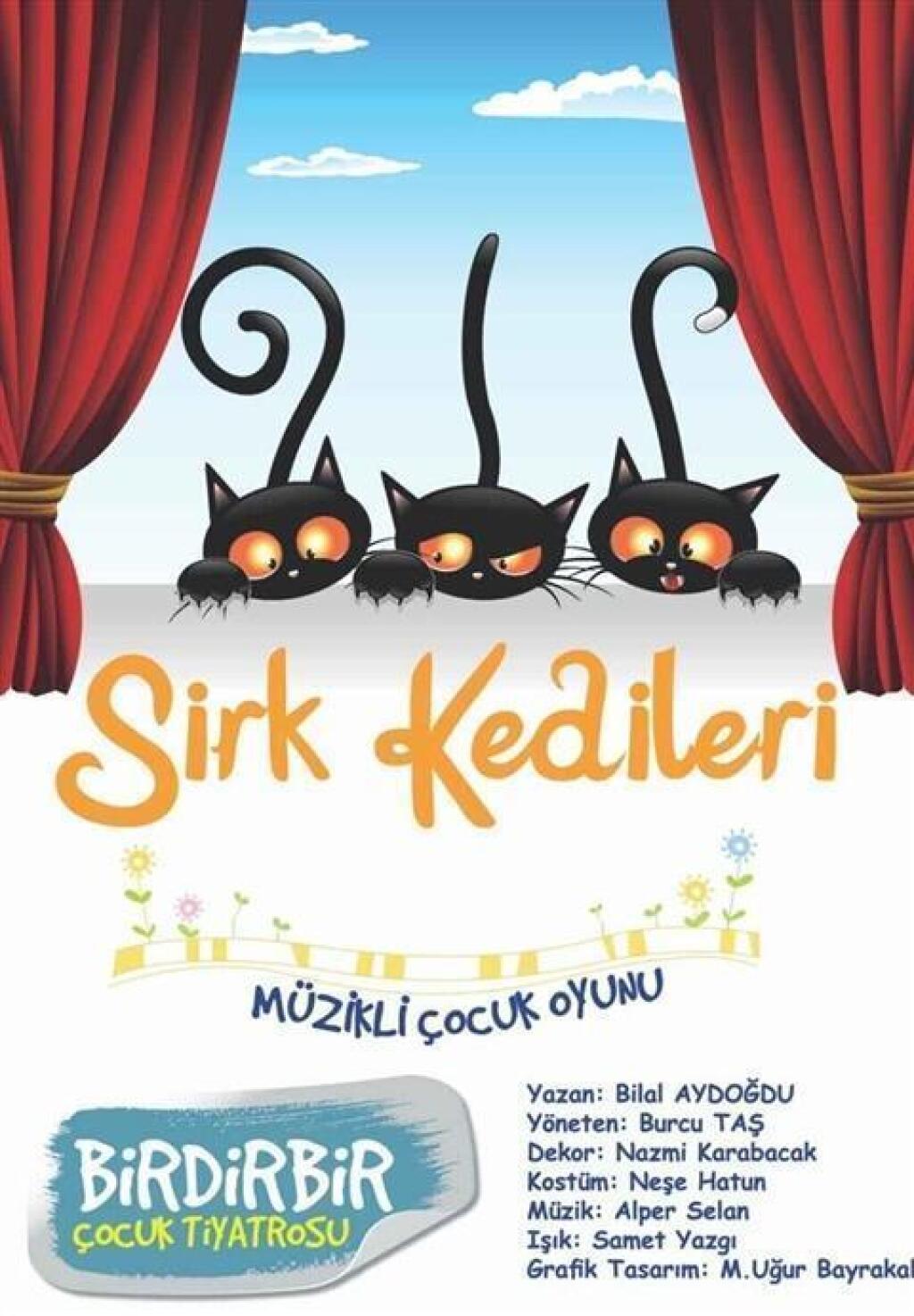 Sirk Kedileri Çocuk