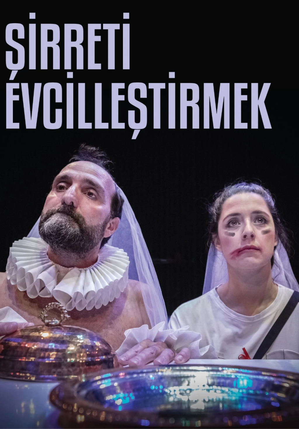 Şirreti Evcilleştirmek