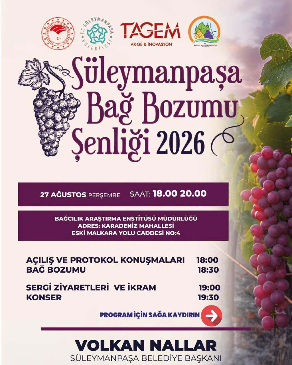 Süleymanpaşa Bağ Bozumu Şenliği