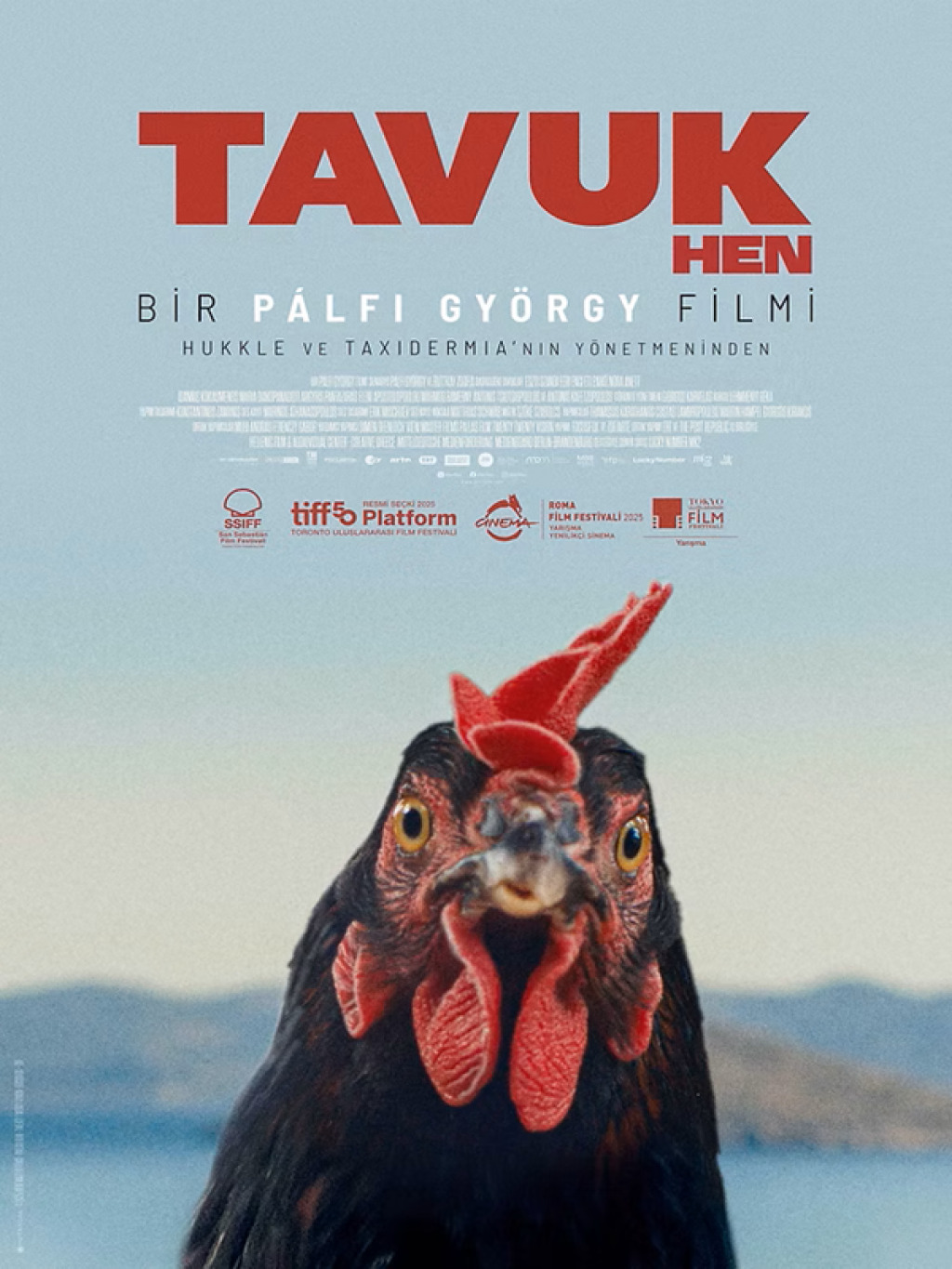 Tavuk Film Gösterimi