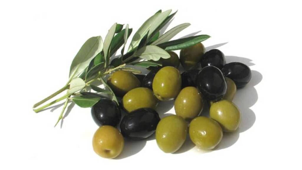 Tirilye Zeytin Çiçeği