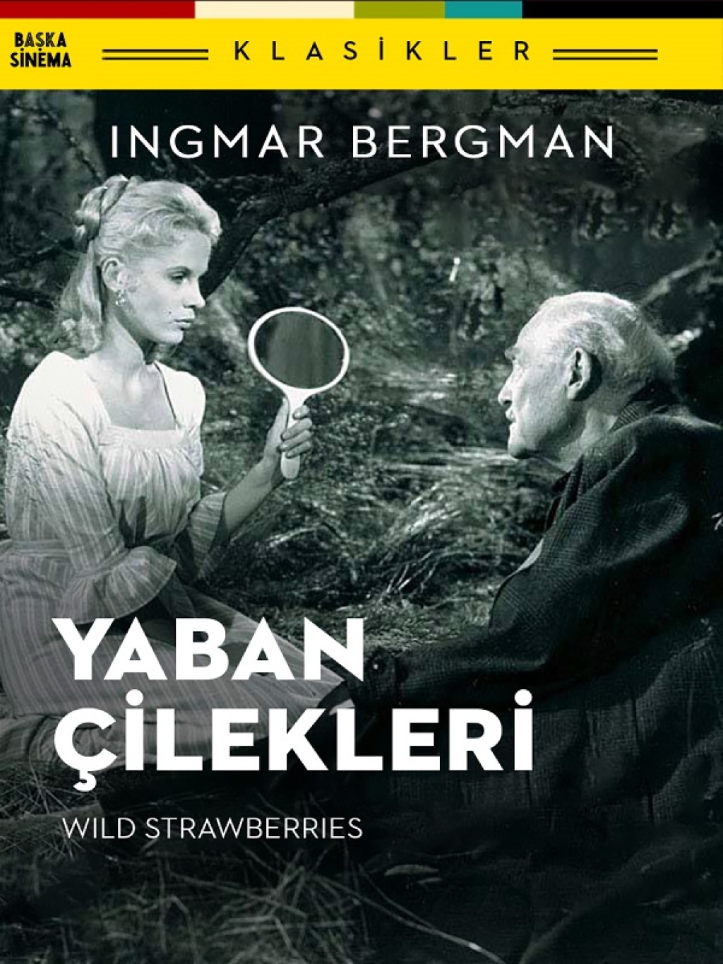 Yaban Çilekleri