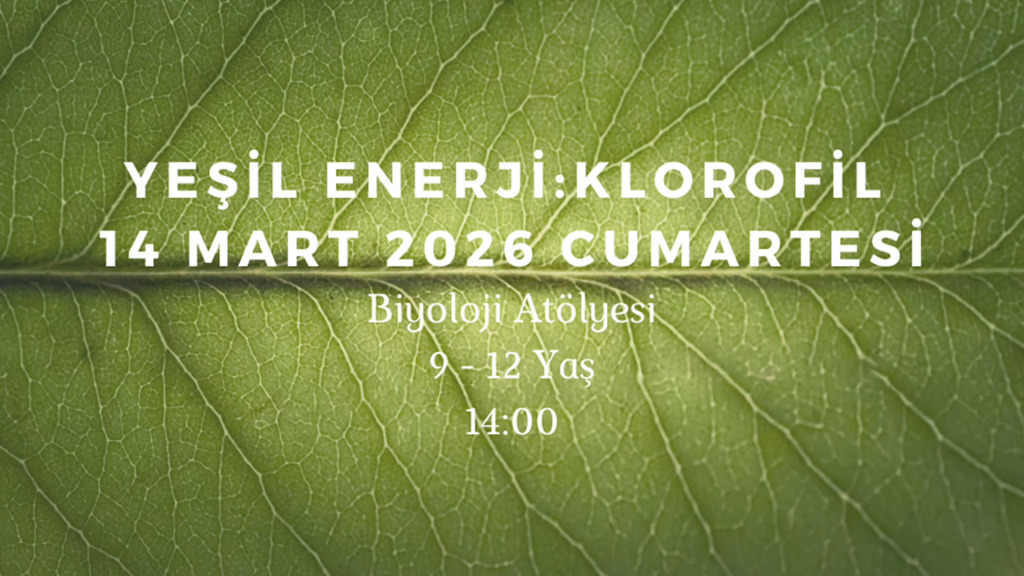Yeşil Enerji - Klorofil 9-12 Yaş