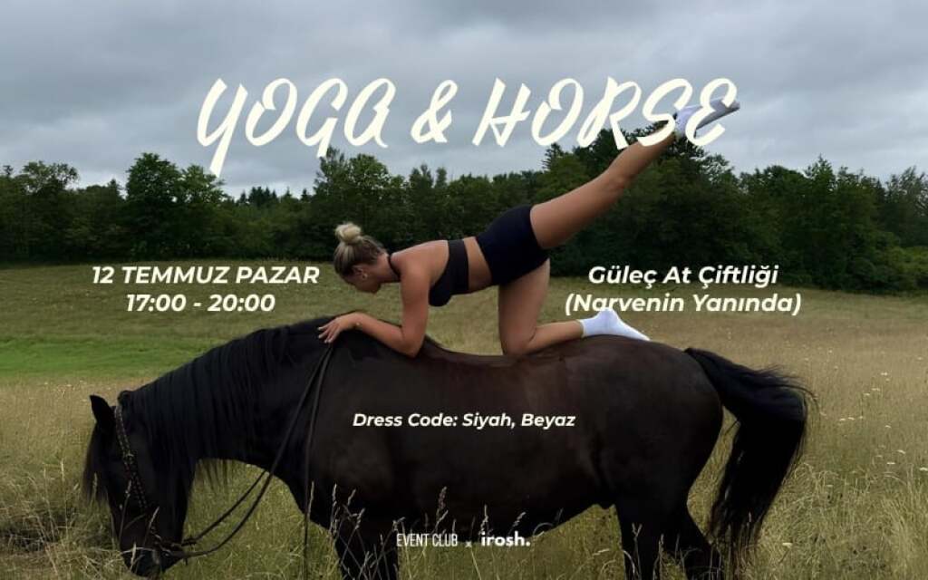 Yoga & Horse