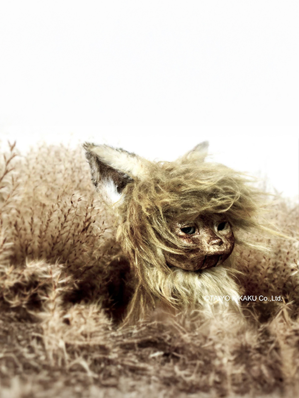 Yönetmen Takeshi Yashiro'dan Anime Seçkisi