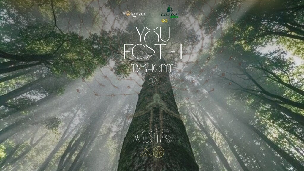 YOU FEST I